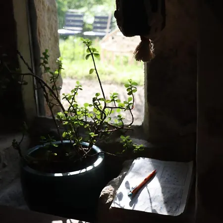 Tatil Evi Bergerie Cevenole De Charme En Pleine Nature *