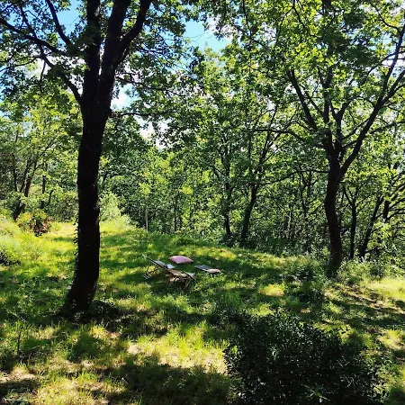 Bergerie Cevenole De Charme En Pleine Nature Tatil Evi Cros (Gard)